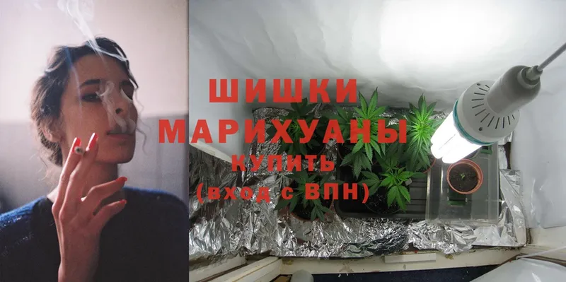 купить наркотик  Слюдянка  Канабис White Widow 