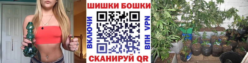где купить наркоту  Слюдянка  Канабис планчик 